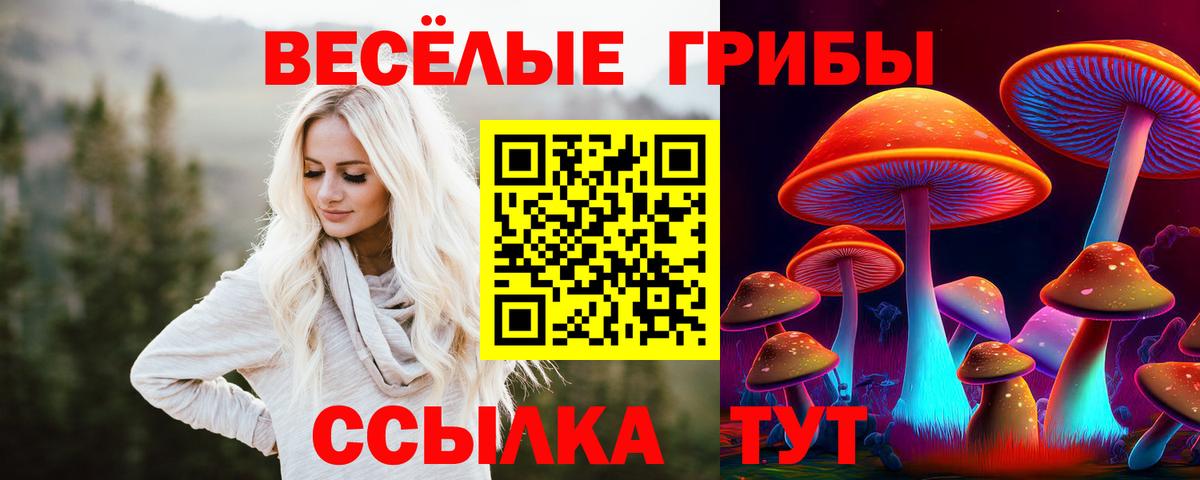 Псилоцибиновые грибы GOLDEN TEACHER  Вход с VPN  продажа наркотиков  Новотроицк 